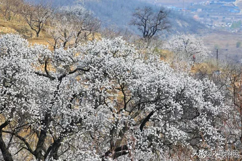 大连旅游必去景点路线推荐,大连最佳的旅游路线