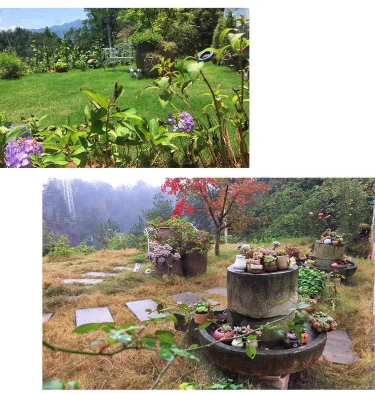 冬去春来,愿你无恙,疫情退去,养肉依旧!