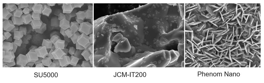 扫描电镜的数据怎么分析,扫描电镜分析报告