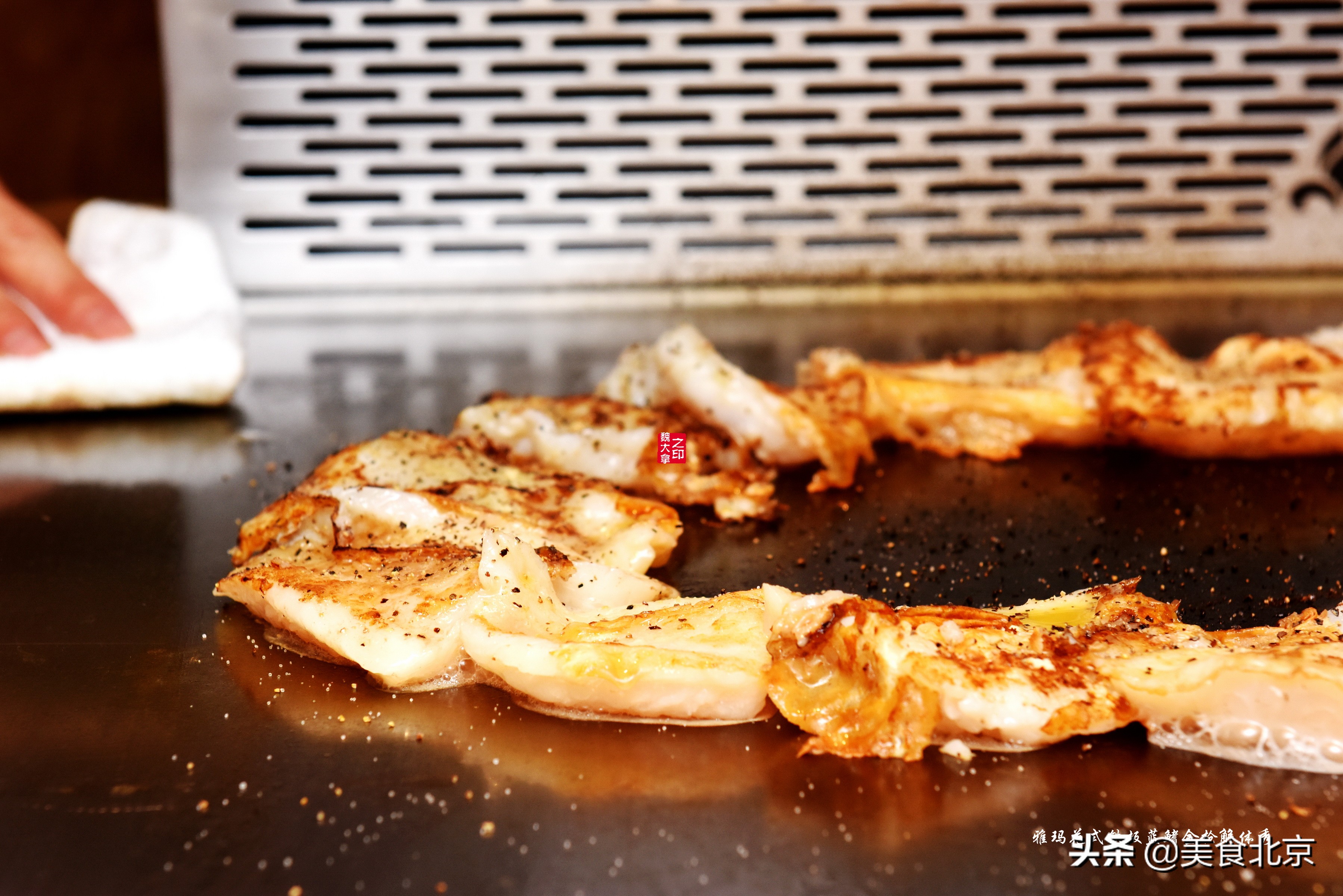 蓝鳍金枪鱼开鱼秀,深海捕蓝鳍金枪鱼