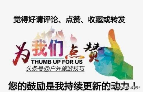 实用野外植物手册推荐,野外有毒植物盘点