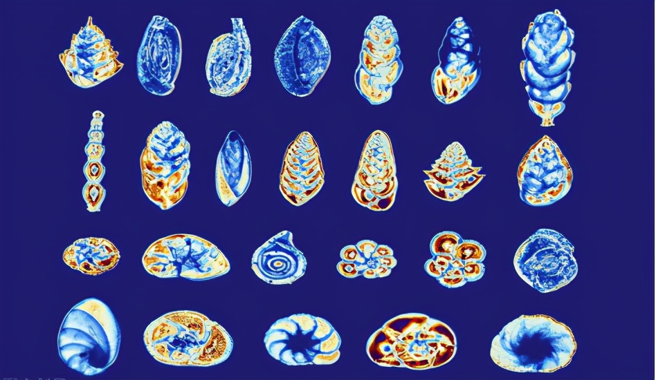 为什么叫炎黄子孙而不是炎黄子孙,我们都是炎黄子孙是什么意思