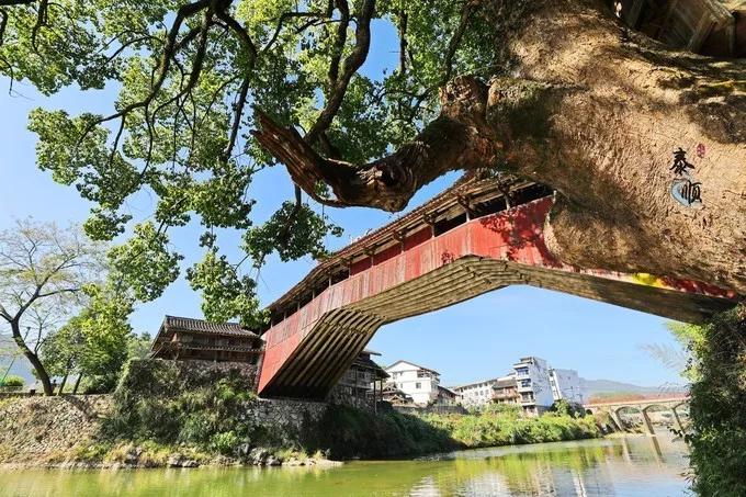 探索秘境,泰顺小众秘境