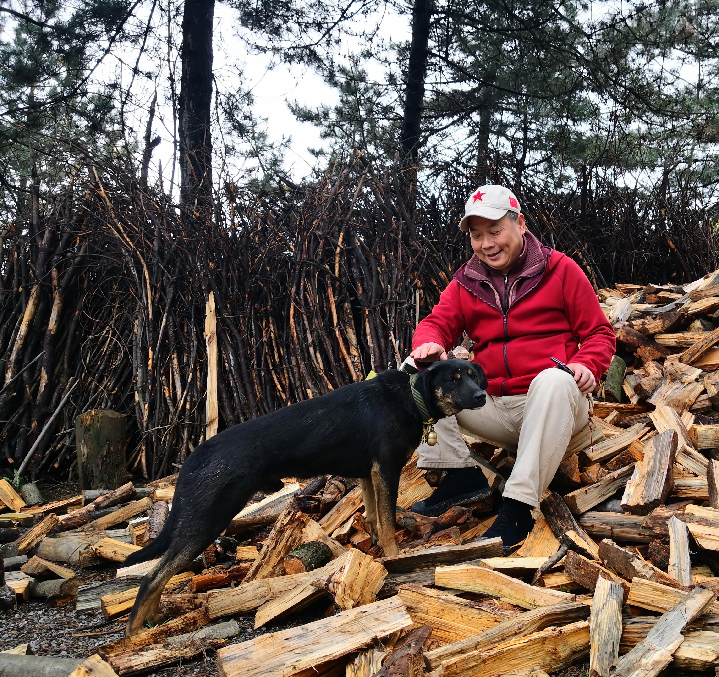 小路虎是指哪款车,小路虎电动车