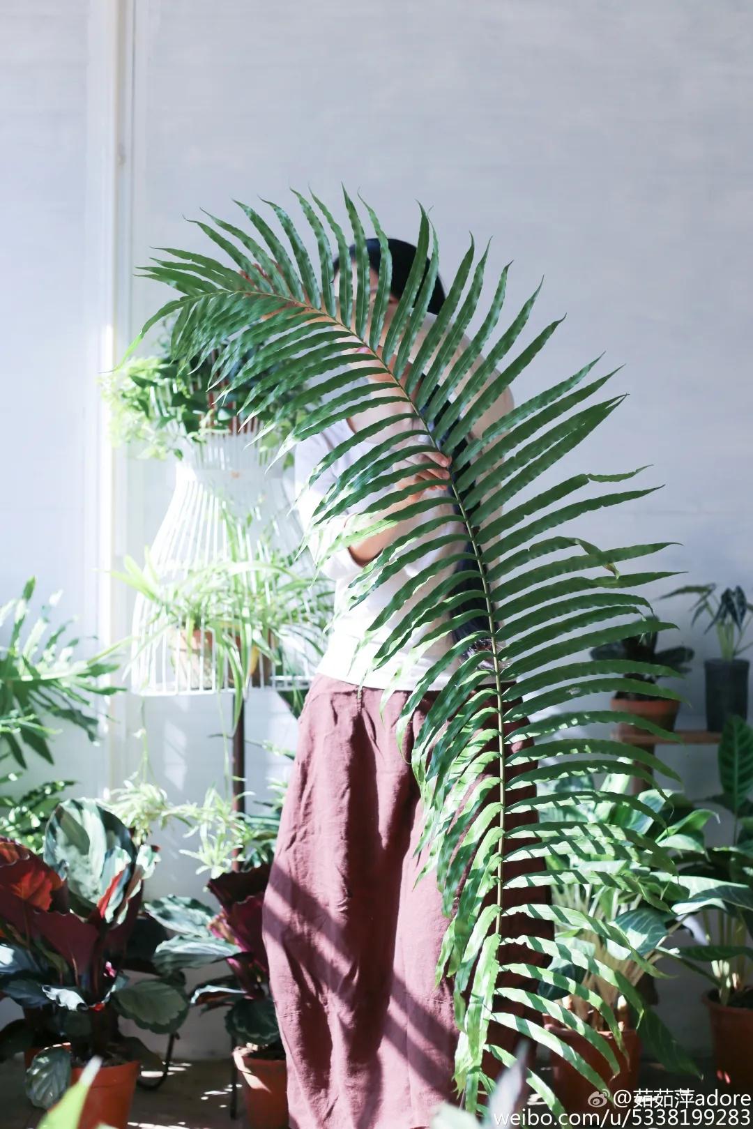 夫妻深山打造500万别墅,90后夫妻隐居山林自建小屋