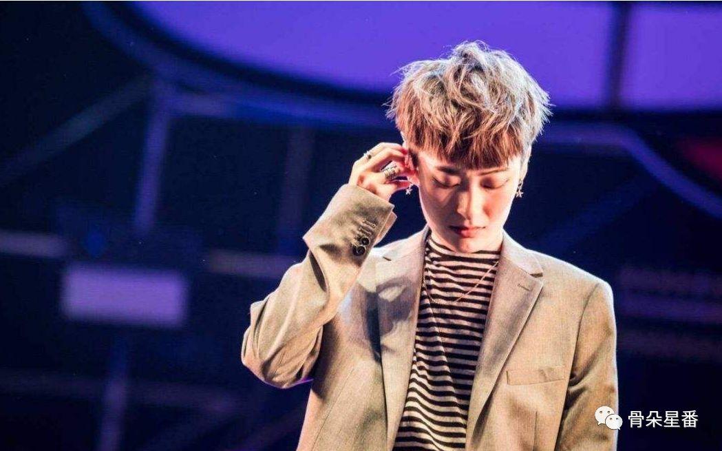 曾轶可被评价,曾轶可被质疑完整版