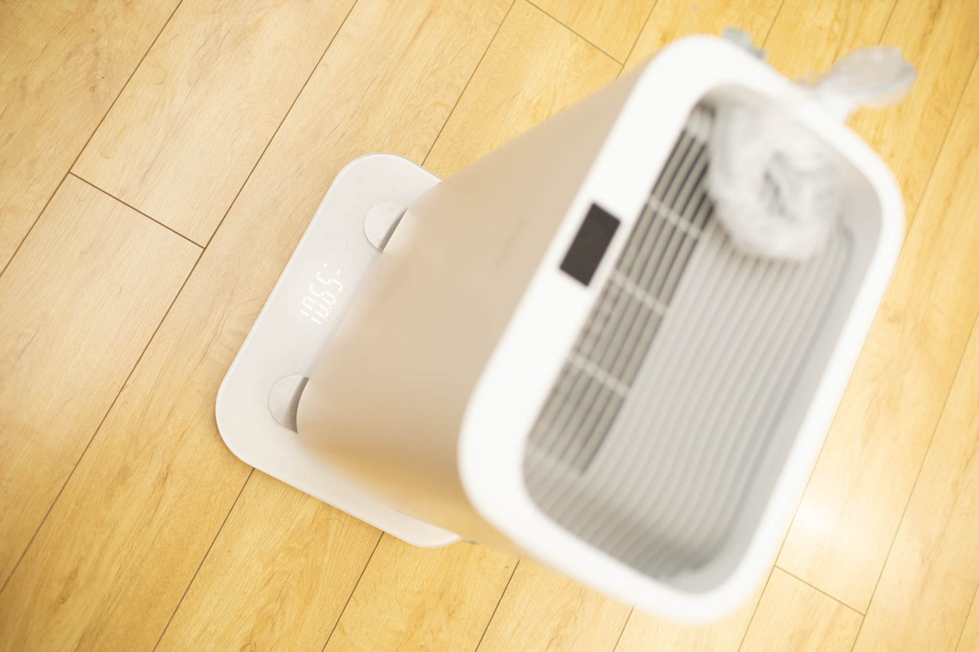 抵御南方湿冷的魔法攻击，小而强悍的伊岛*湿机除**