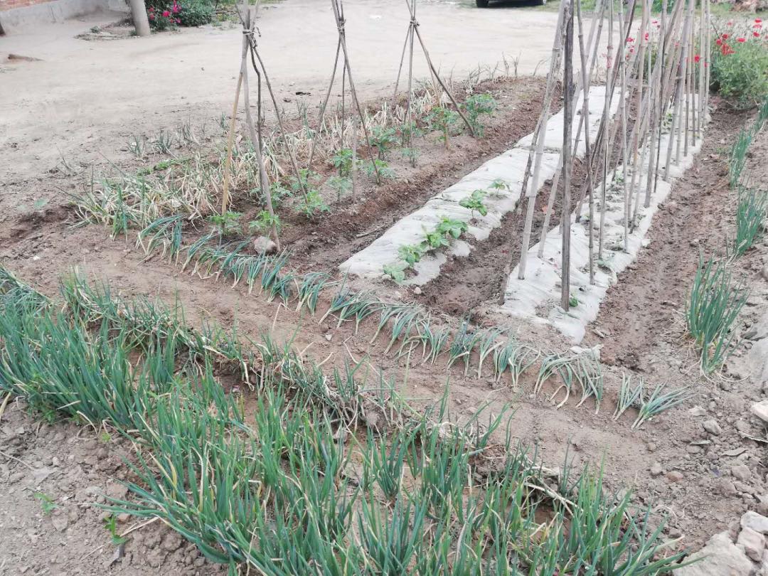 闲着木事儿，你来俺家玩儿呗