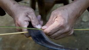 爷爷版李子柒视频评价,农村小伙子李子柒视频