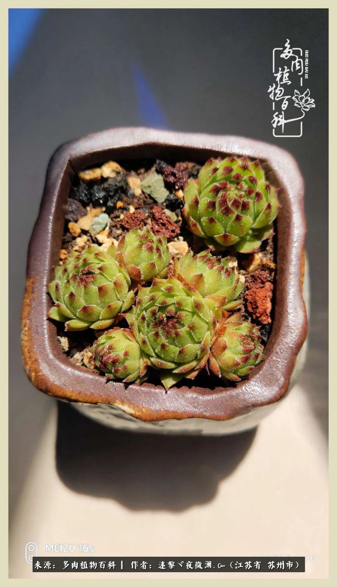 秋尽冬来岁月不居时节如流,岁月不居时节如流水