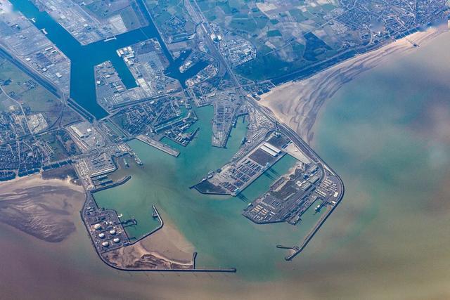 欧洲抗病毒扛把子，原来是这个薯条王国