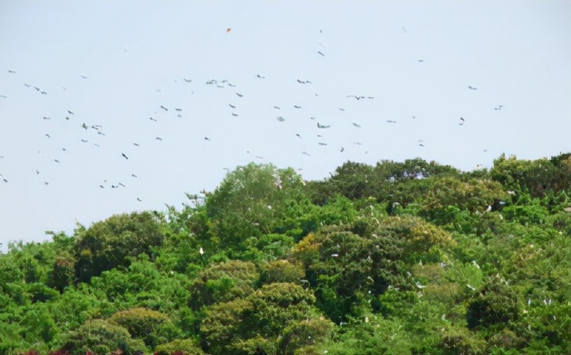 春节玉林周边游玩景点推荐,玉林博白县景点有哪些