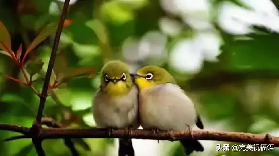 今天2.1，2月第1天，谁编的，太好笑了，给群里乐一乐~