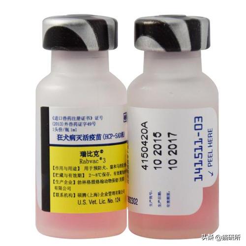 猫咪接种疫苗后局部红肿怎么处理,猫咪接种疫苗后哪些反应是正常的