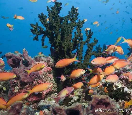 旅行带你去野营,旅行给自己放一个假出去走走吧