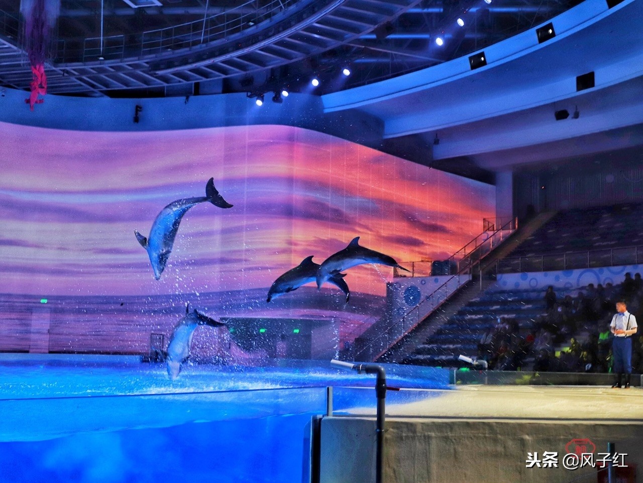 上海新地标丨海昌海洋公园一日游园玩法攻略