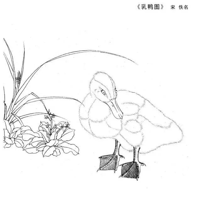 工笔白描底稿高清大图,宋人工笔画白描图片