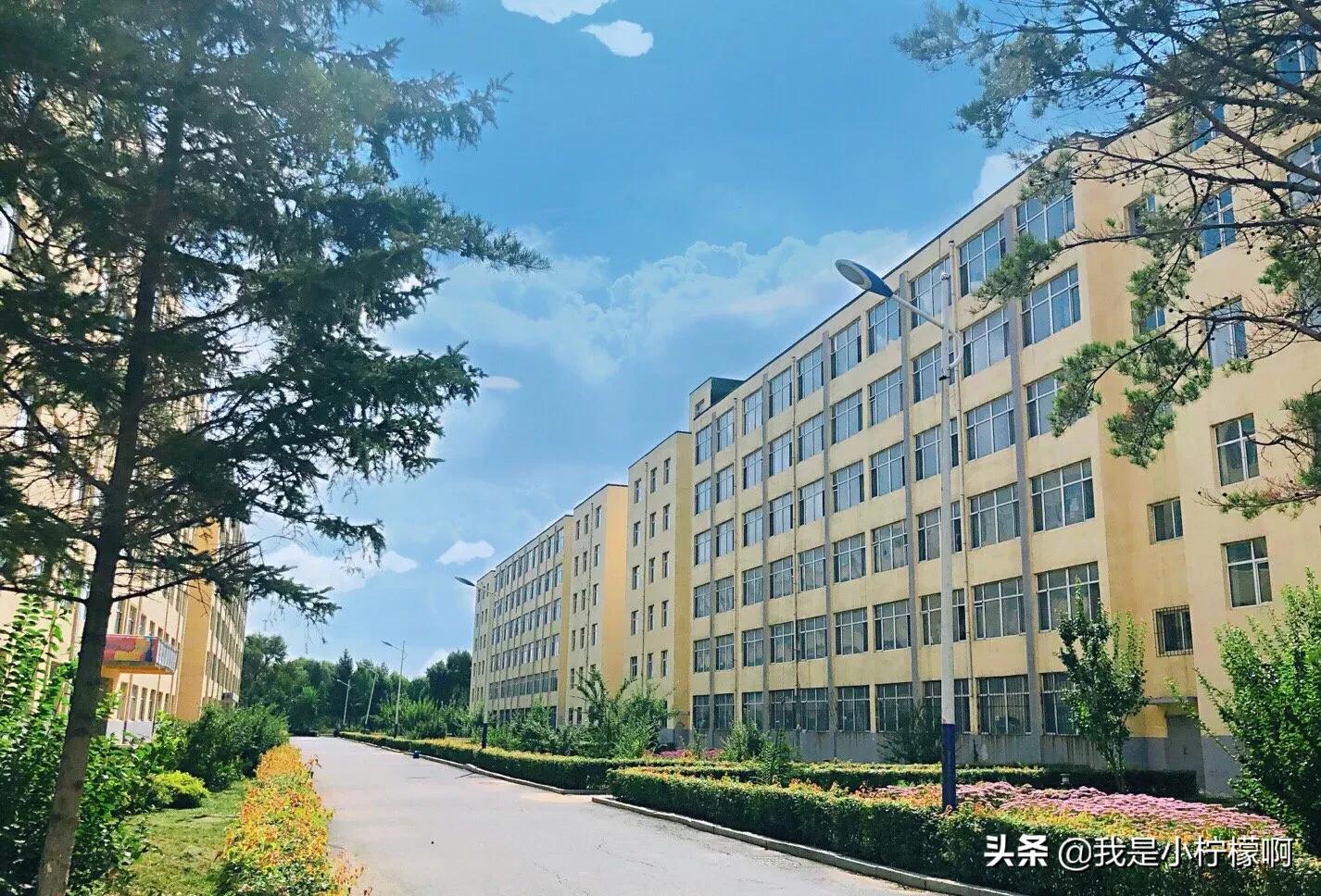 吉林电子信息职业技术学院校花,吉林电子信息职业技术学院通知书