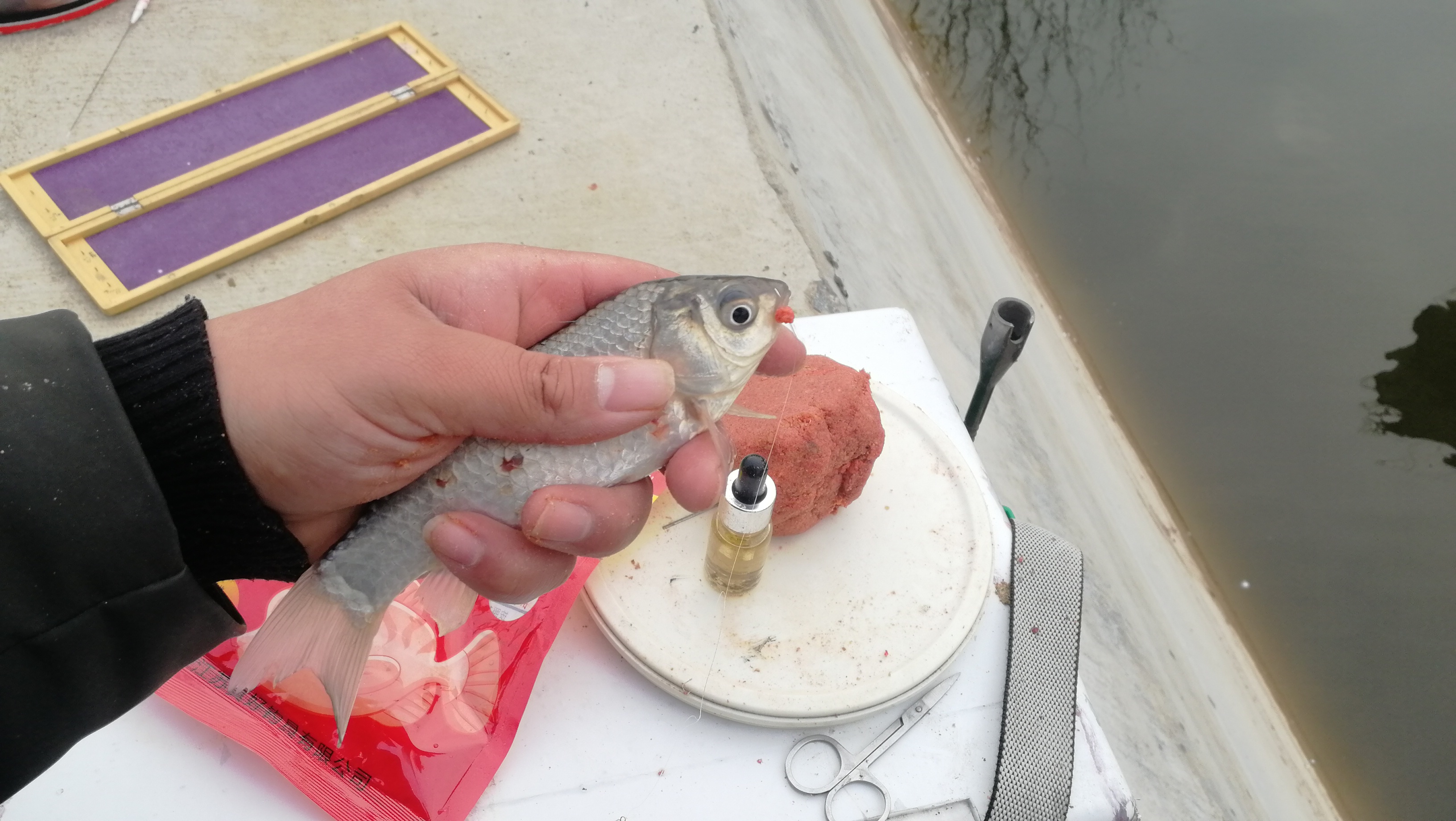 野钓挂蚯蚓没有鱼口怎么办,蚯蚓钓鱼鱼怎么不上钩