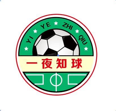 国足队长张琳芃啥意思,张琳芃是怎么一个球员