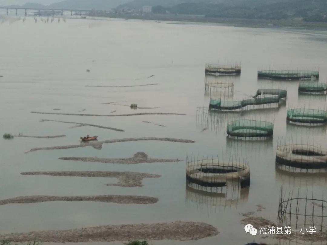 霞浦一中高一新生夏令营,霞浦县夏令营