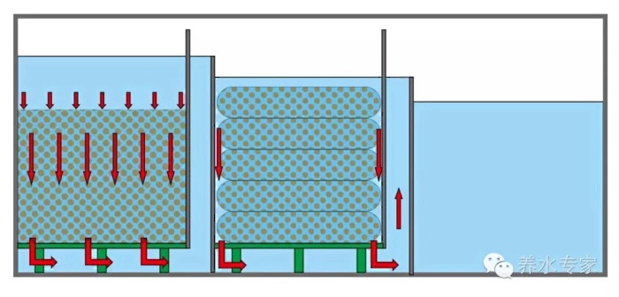 鱼缸养锦鲤鱼的方法和技巧,鱼缸新手养锦鲤鱼的正确方法