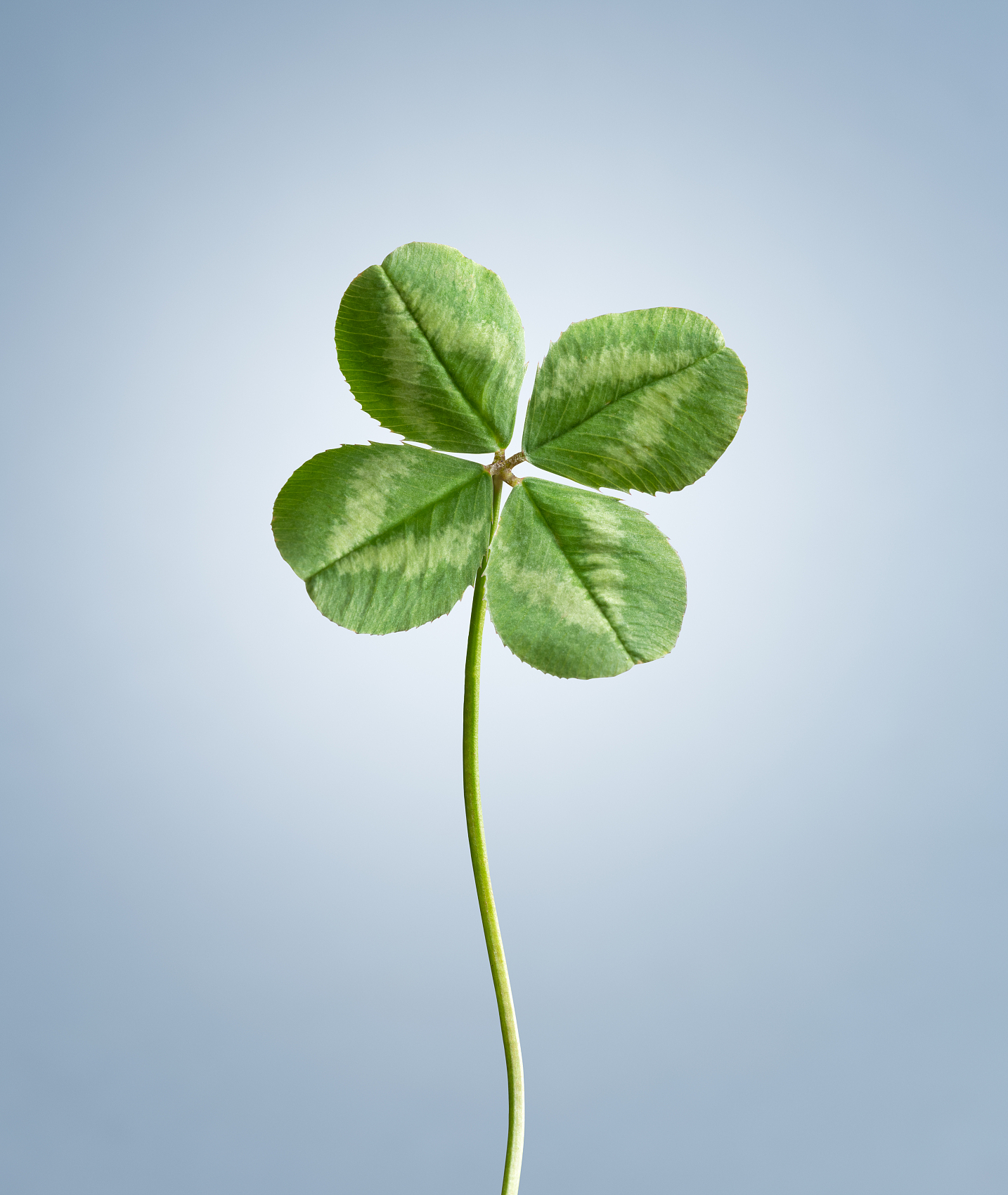 心情好了好运自然来,放下纠结好运自然来