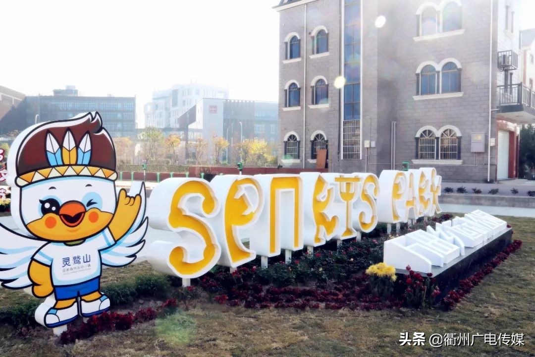 VLOG|智能足球场、棋趣木立方……记者带您去玩衢州首个乡村运动公园