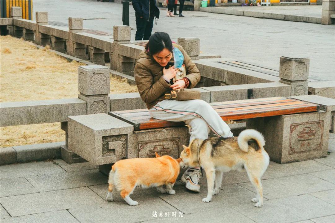 苏州江南第一景区,苏州江南第一观