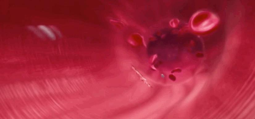 血小板破裂是什么意思,血小板凝固原因