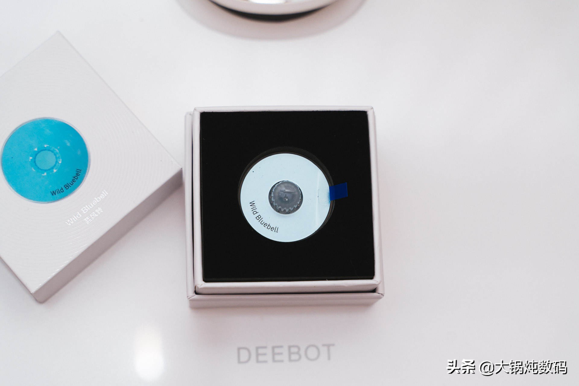 有了它我再也没有动手扫过地了，而且每天都是香香的