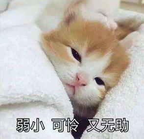 玩家被骗万元，在游戏里疯狂*号盗**出气，却因为一个傻子改邪归正？