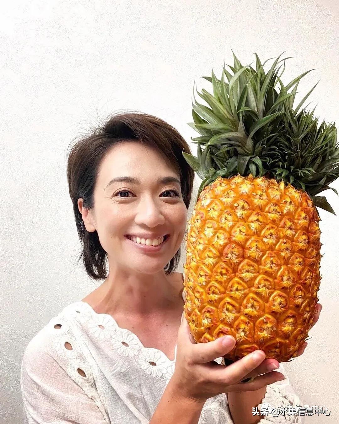 日本进口的菠萝,日本菠萝