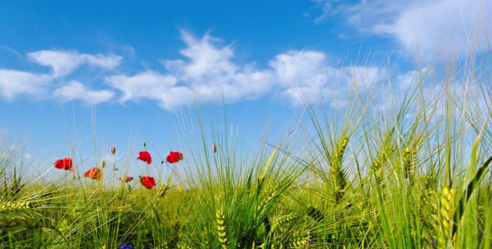 减压的最佳方法有哪些,减压的最佳方法