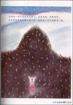 有声绘本故事《嘿，站住！》学会信任