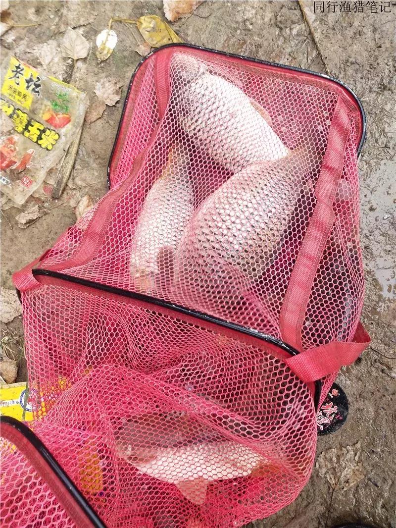 娲涘簞閽撻奔,娲涘簞鍨傞挀