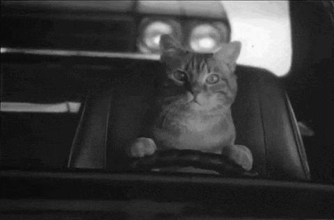 怎样能去英国做司机,如何去英国做大车司机