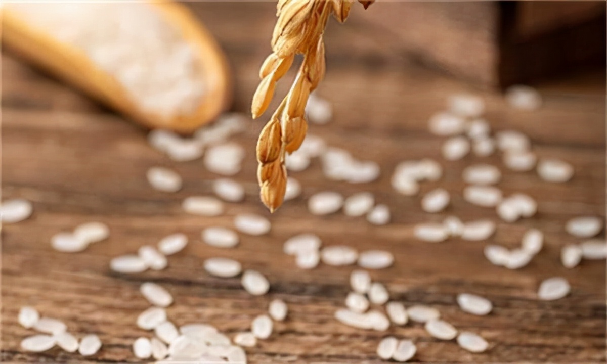 新手做大米批发如何找厂家,想做粮油批发怎么找进货渠道