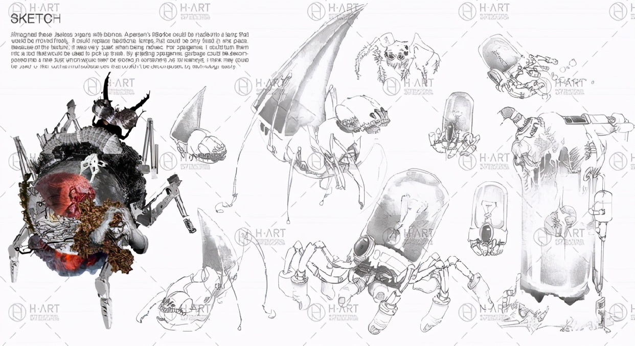 这个鹿角西瓜头，是我在皇艺的第一个老师