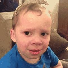 卡拉瓦乔一生简介,卡拉瓦乔的逃亡生涯和作品