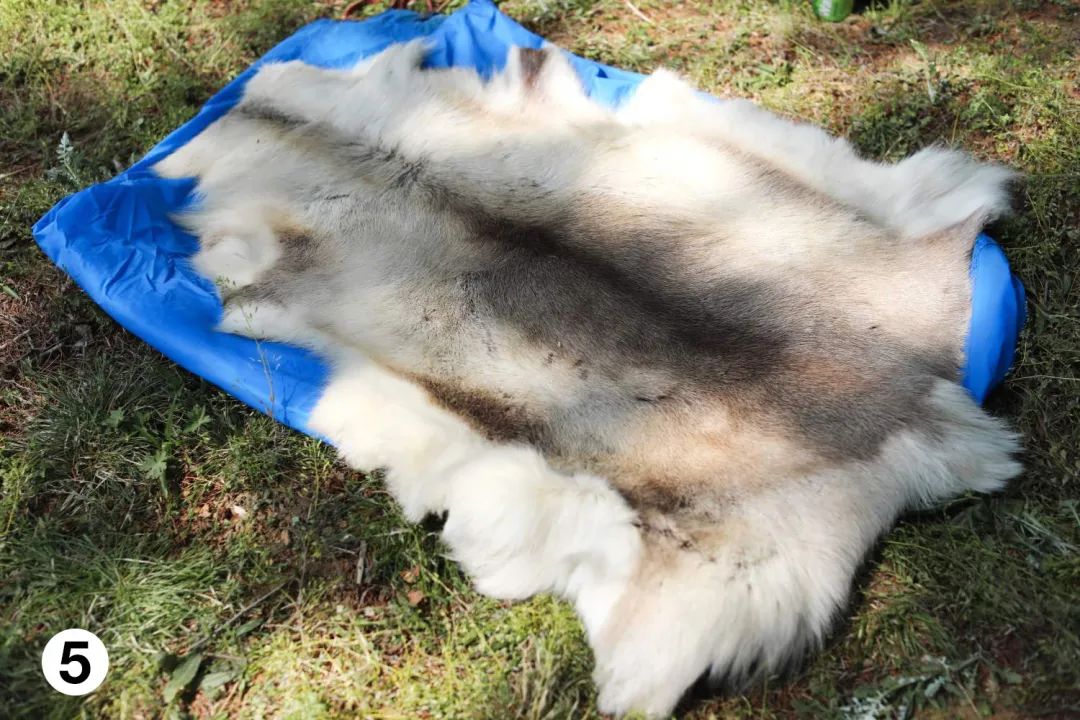 bushcraft体验,bushcraft什么意思