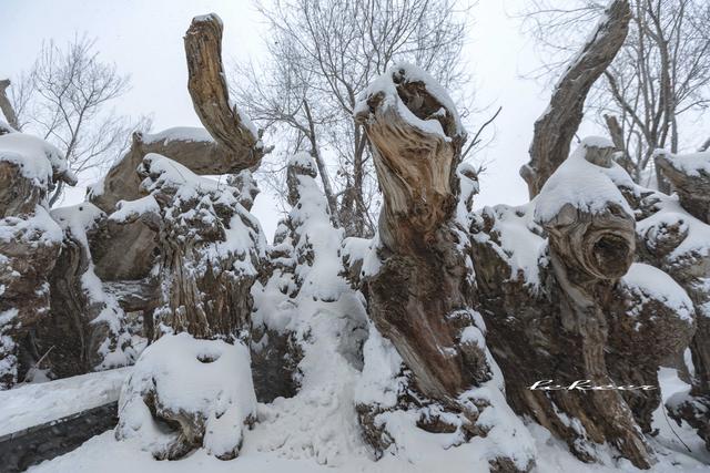 乌鲁木齐灯草沟滑雪,冰雪大世界滑雪体验