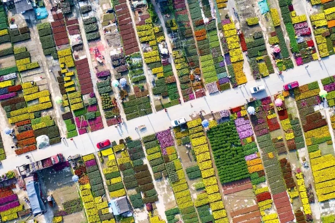 再见了大别山原唱歌曲,再见了大别山完整版原唱