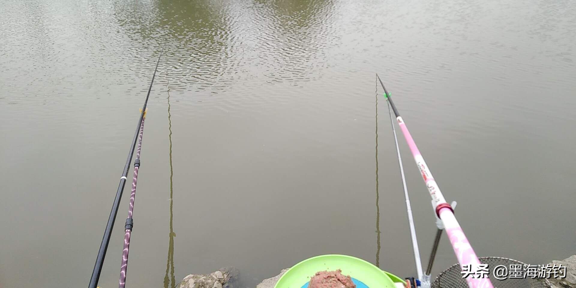 五一假期野钓鲫鱼,五一钓草鱼用什么饵料