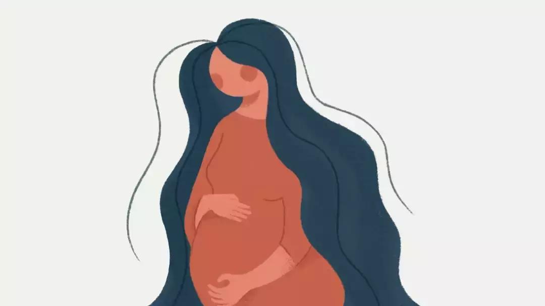 铁叶酸b12,铁叶酸维生素b12的食物有哪些