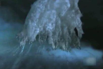 南极深海出现死亡冰柱现象,南极死亡冰柱瞬间冰冻海洋生物