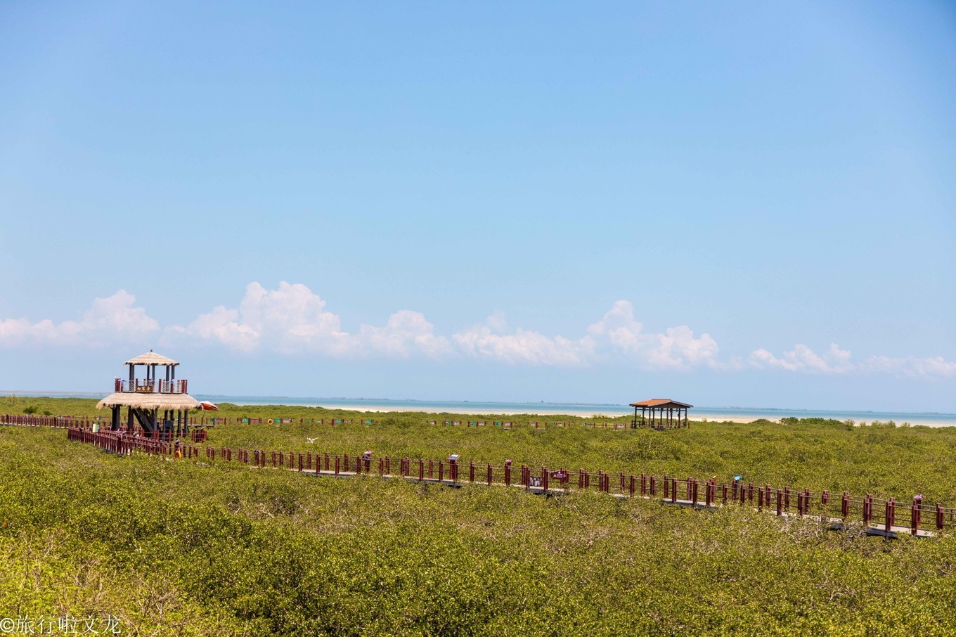 北海红树林公园门票68元,北海红树林景区门票价格