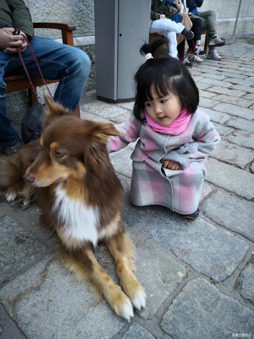 从慕尼黑到瑞士,从德国慕尼黑到瑞士
