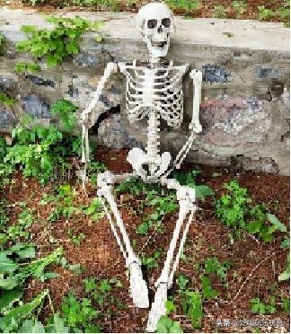 苏州市四季恒温水乐园在哪里,四季恒温水乐园苏州