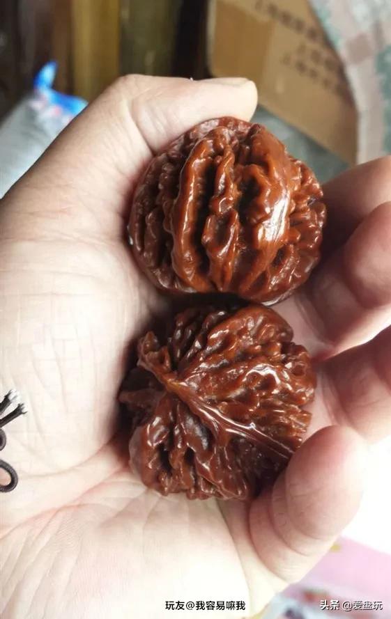 它是核桃圈的“虐手扛把子”，敢上手盘的，都是铁汉子